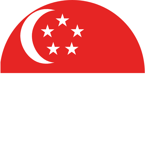 Immigration Colsultant For Singapore